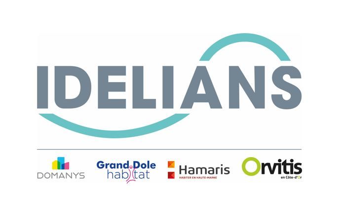 IDELIANS, la 11ème SAC agréée en France - Rapport d'activité 2020 Domanys